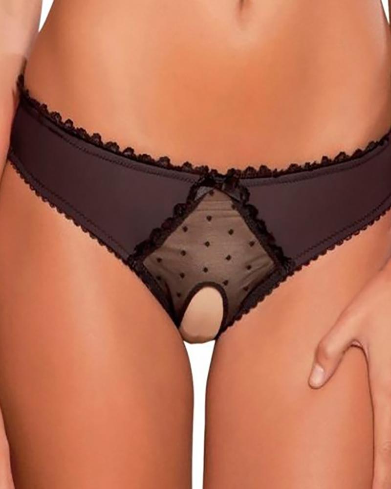 Sheer Mesh Hollow-out Lace Panty